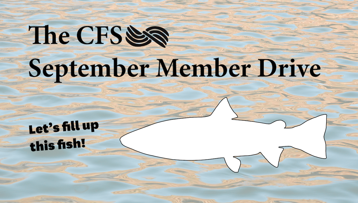 Announcing the CFS September Member Drive