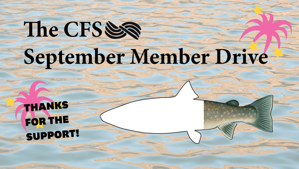 Thanks for the Member Drive support!