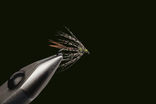 Swinging wet flies and soft hackles
